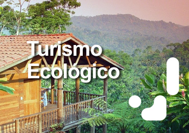 Licenciatura en Administracion